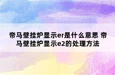 帝马壁挂炉显示er是什么意思 帝马壁挂炉显示e2的处理方法